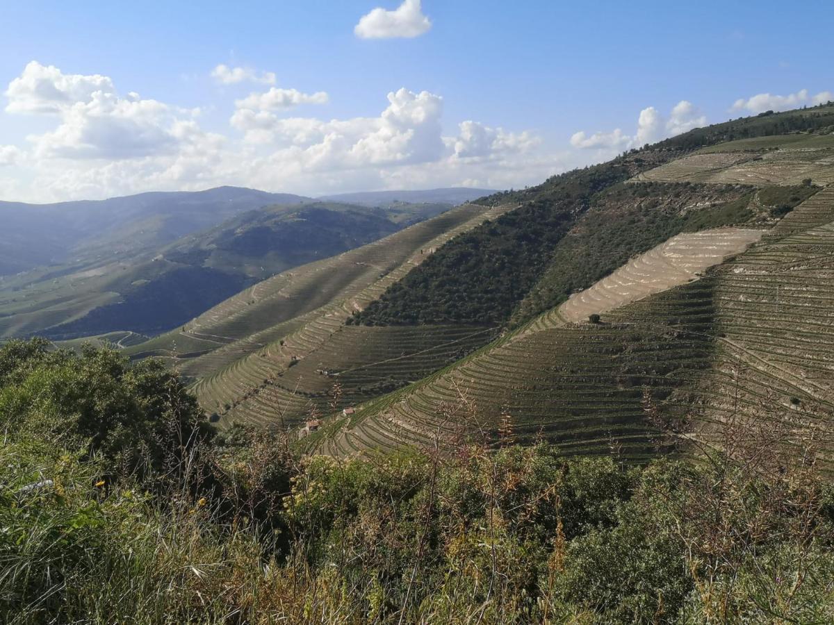 Douro Valley - Casa Da Praca Ervedosa do Douro Exterior photo
