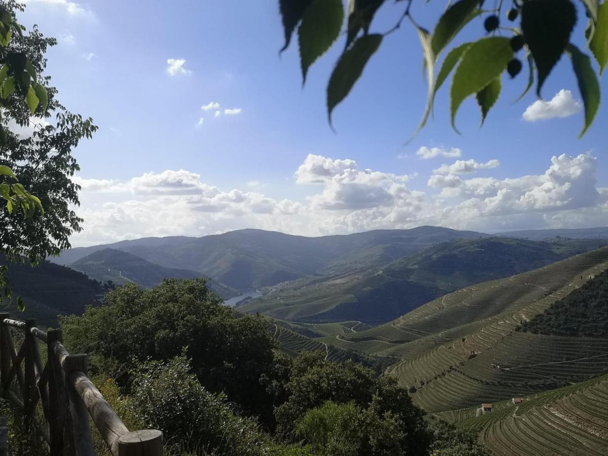Douro Valley - Casa Da Praca Ervedosa do Douro Exterior photo